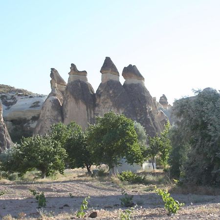 Anatolia Cave Hotel Pension Göreme Exteriér fotografie