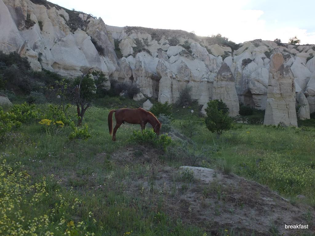 Anatolia Cave Hotel Pension Göreme Exteriér fotografie